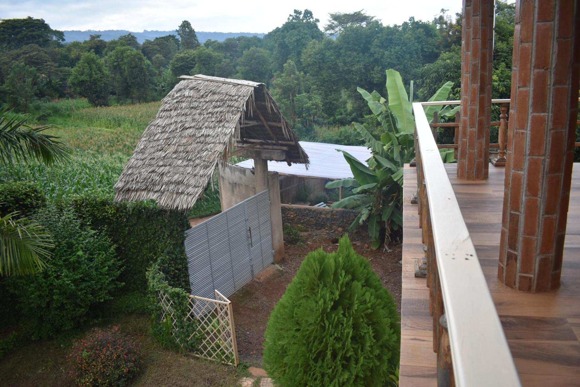 Kilimanjaro Accommodation Msaranga Kültér fotó