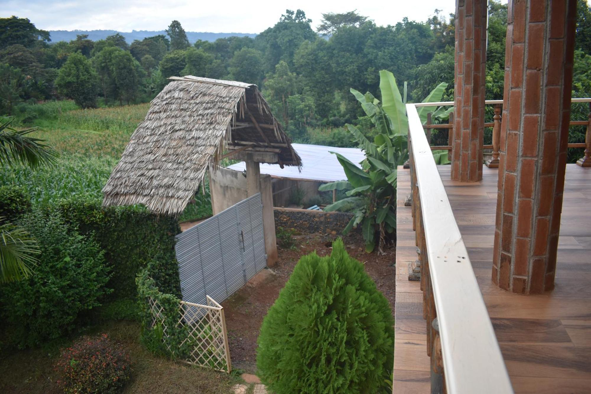 Kilimanjaro Accommodation Msaranga Kültér fotó