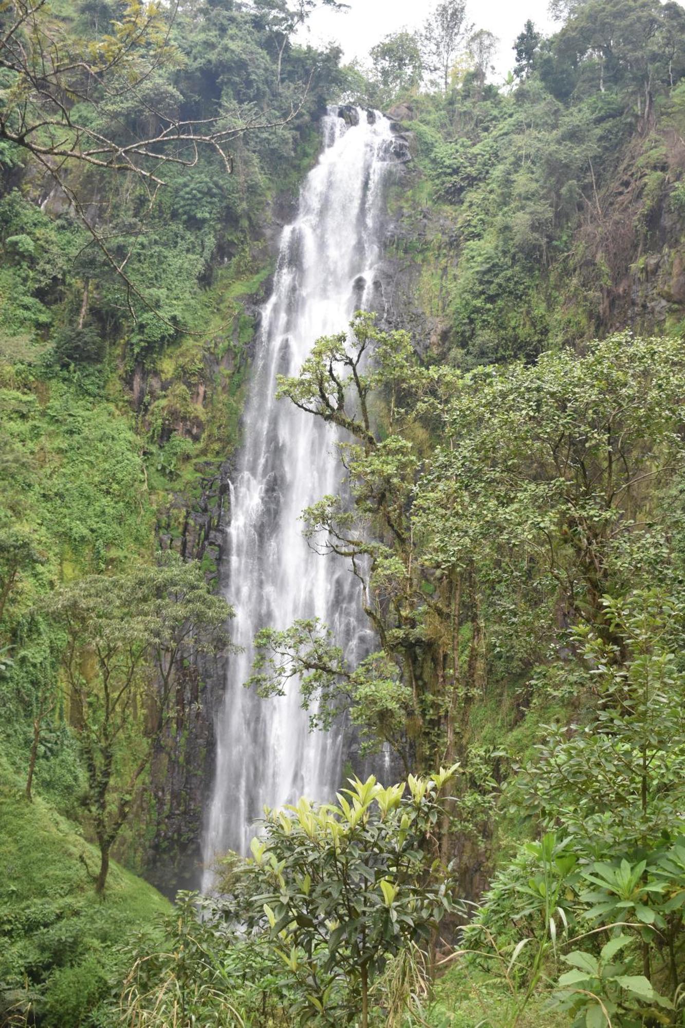 Kilimanjaro Accommodation Msaranga Kültér fotó