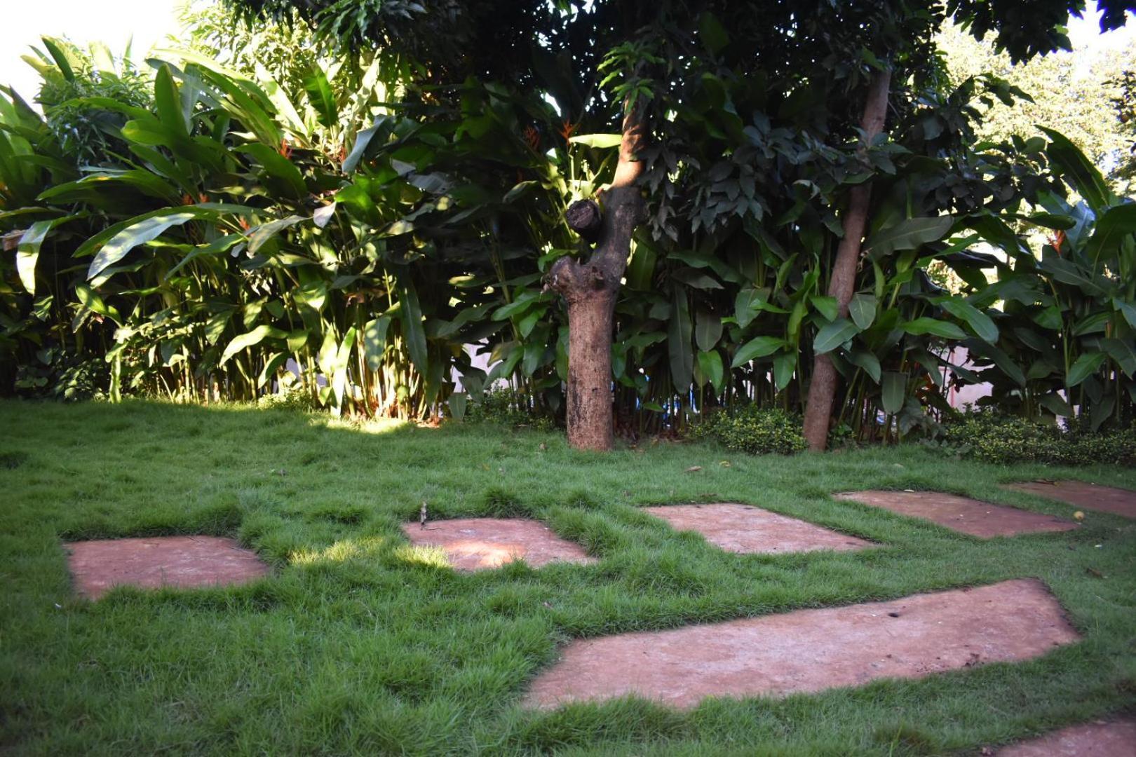 Kilimanjaro Accommodation Msaranga Kültér fotó